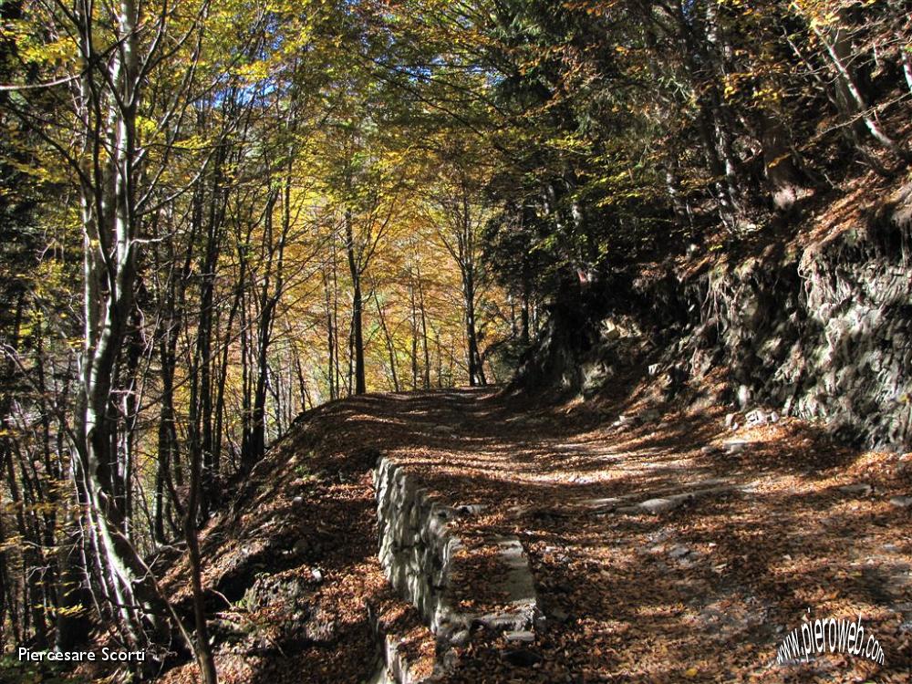 05 inizio del sentiero nel bosco.JPG